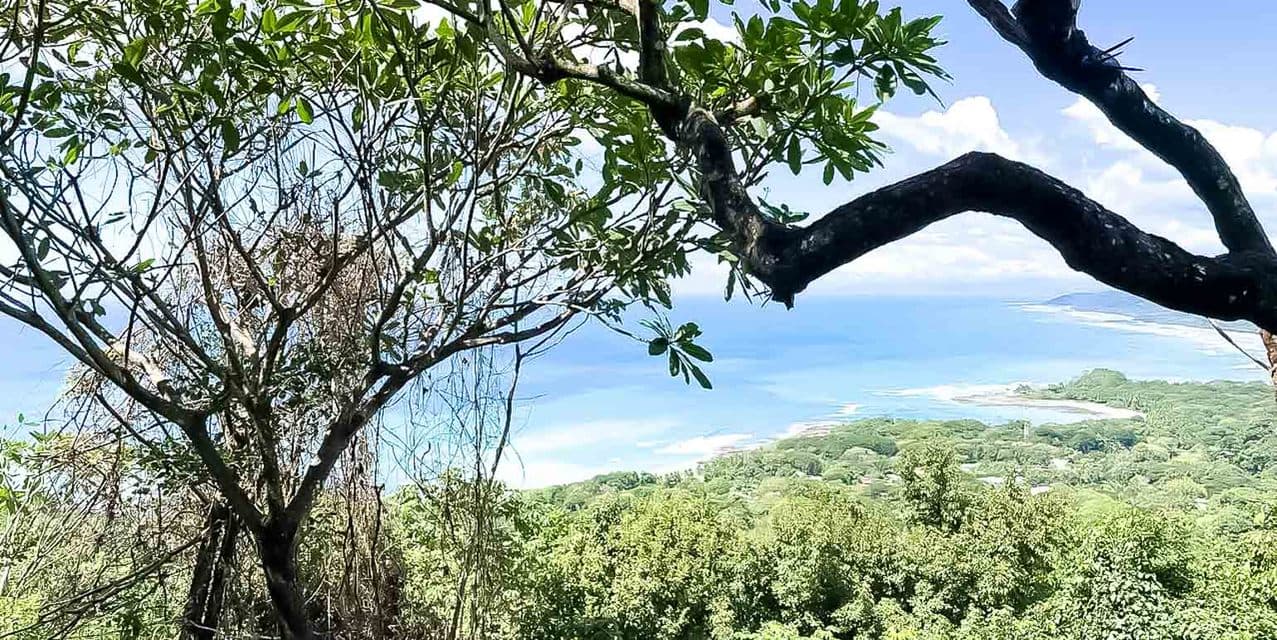 Peaceful Lot at Malpaís — photo