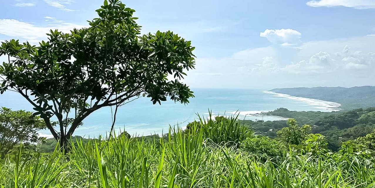 Peaceful Lot at Malpaís — photo