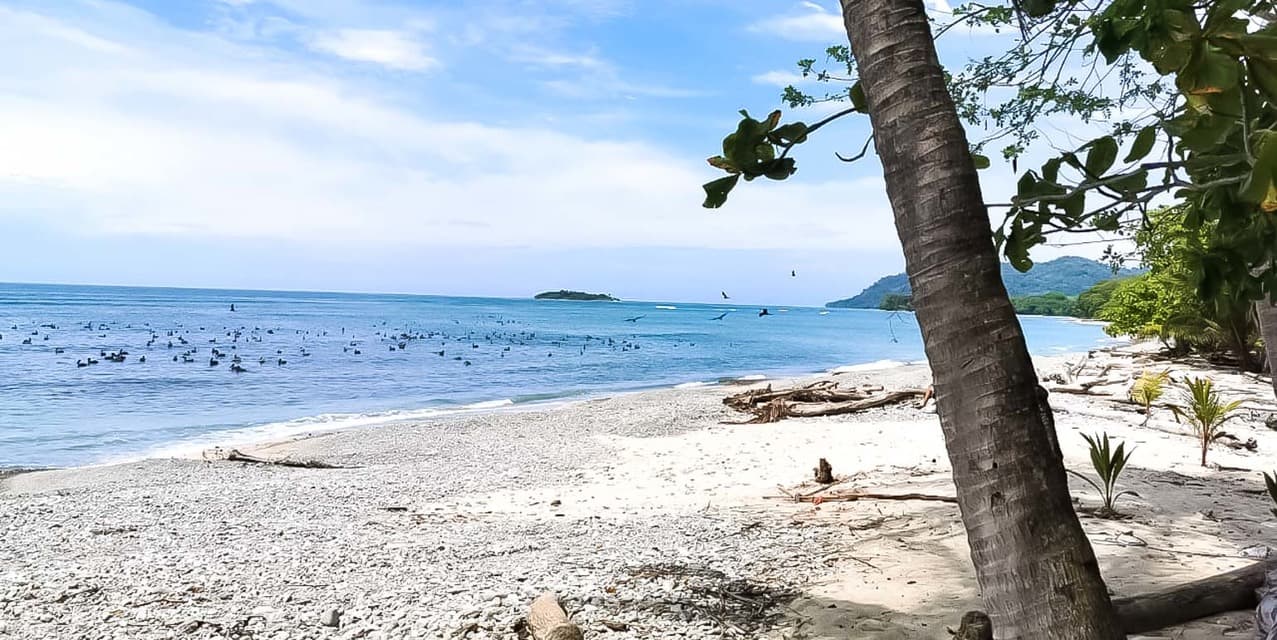 Beachfront Concession Land at Cabuya — photo