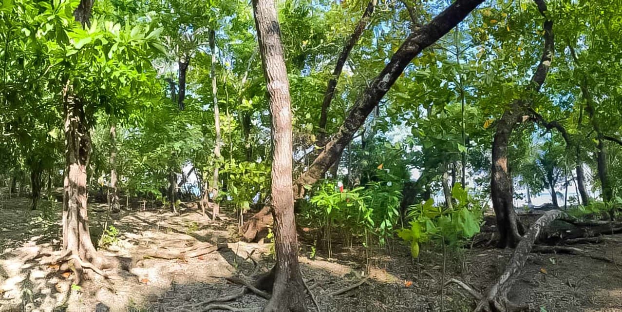 Beachfront Concession Land at Cabuya — photo
