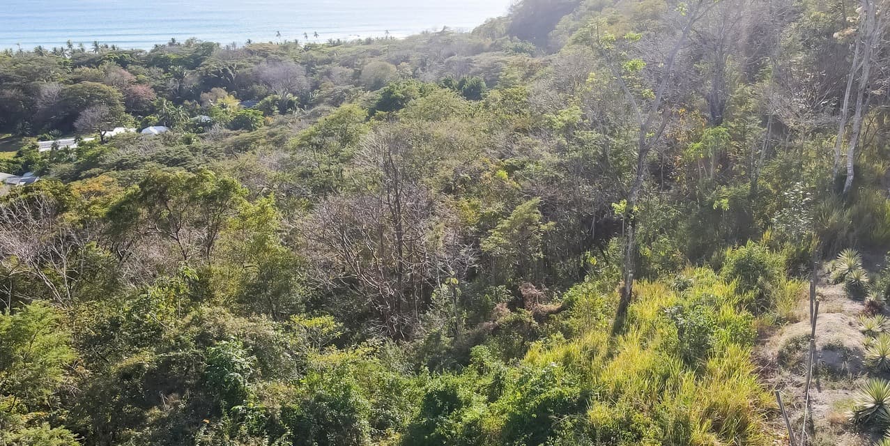 North Hermosa Lot at Santa Teresa — photo