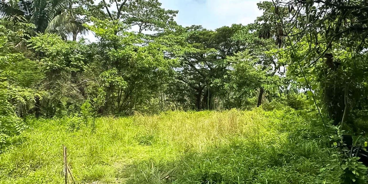 Large Ocean View Lot at Santiago, Santa Teresa — photo