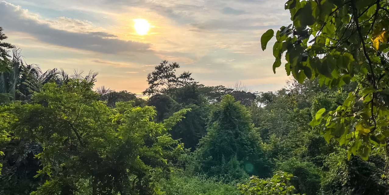 Large Ocean View Lot at Santiago, Santa Teresa — photo