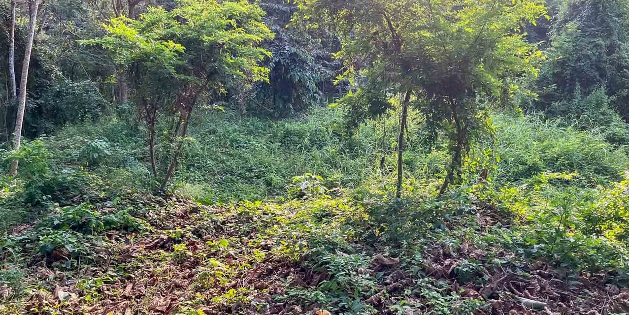 Large Ocean View Lot at Santiago, Santa Teresa — photo
