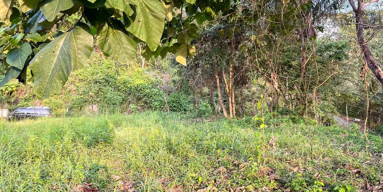 Large Ocean View Lot at Santiago, Santa Teresa — photo