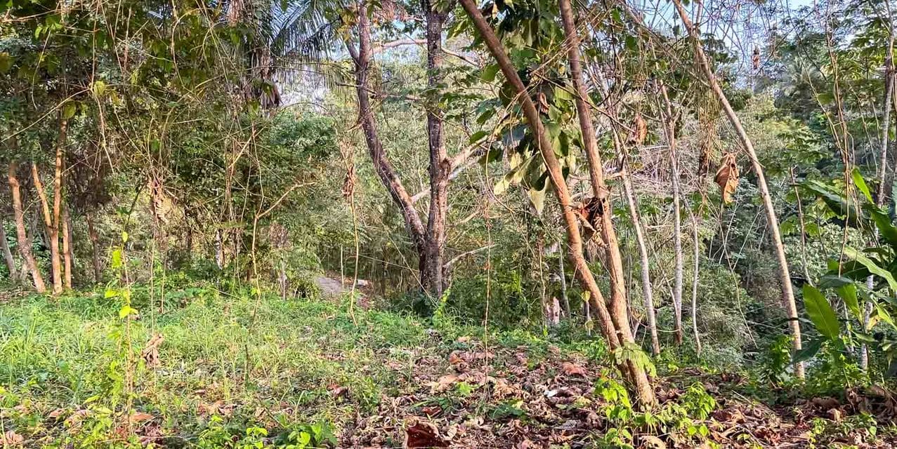 Large Ocean View Lot at Santiago, Santa Teresa — photo