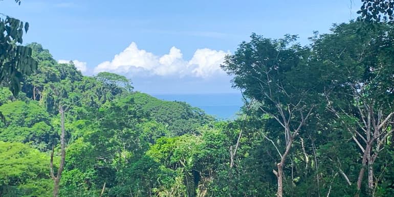 Ocean View Land Near Playa Carmen
