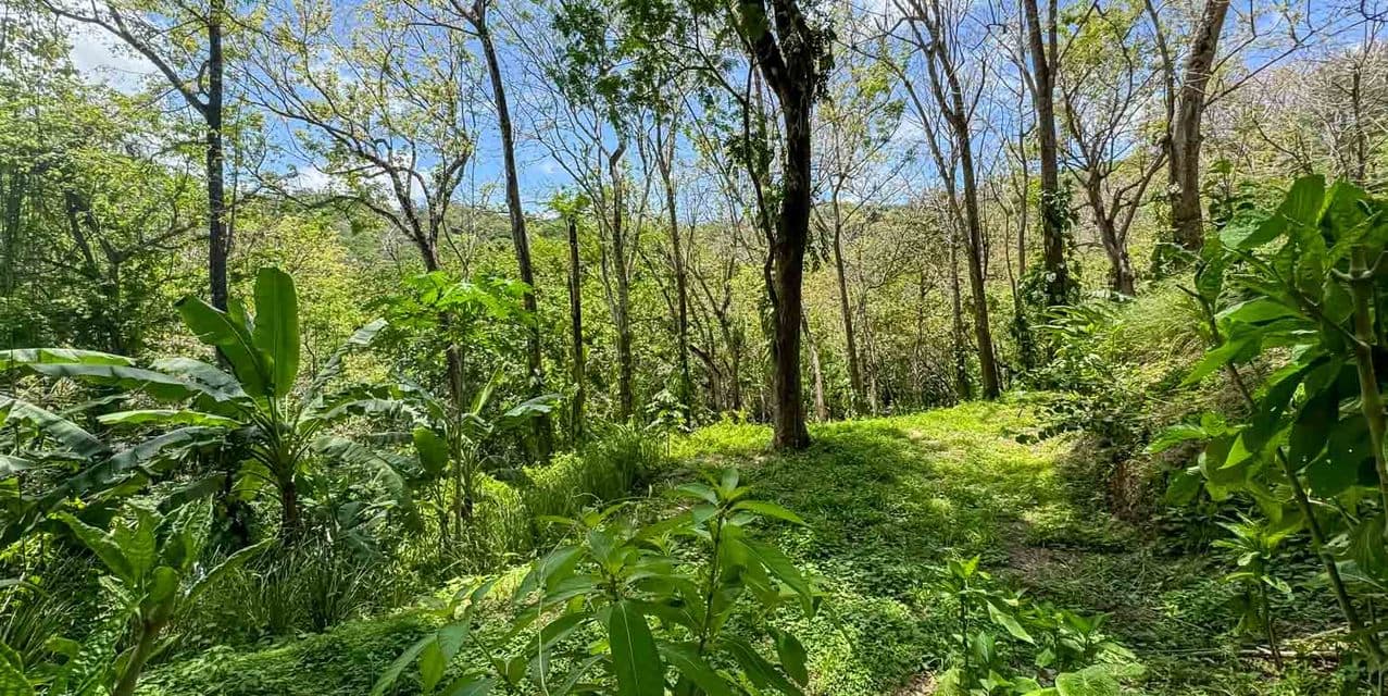 Perfect Oasis Lot at Santa Teresa — photo