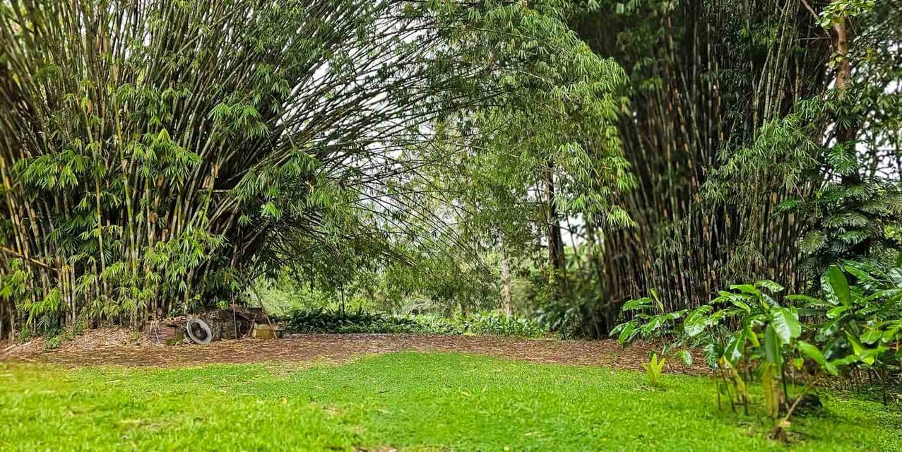 Finca Verde in Orosi, Cartago — photo