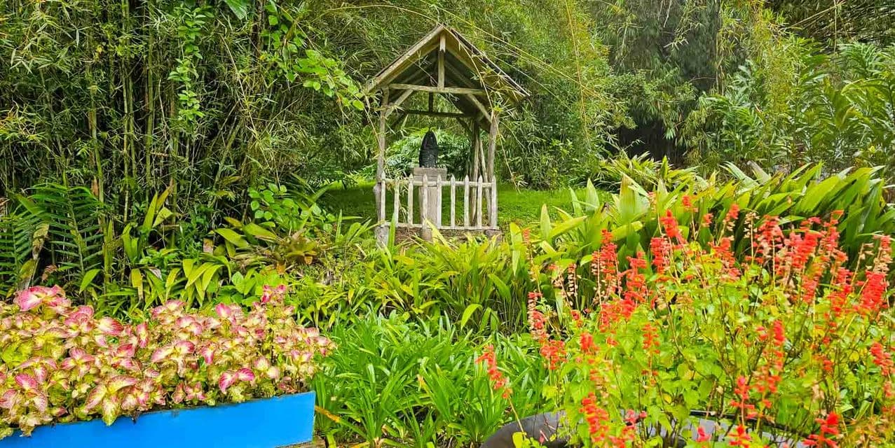 Finca Verde in Orosi, Cartago — photo
