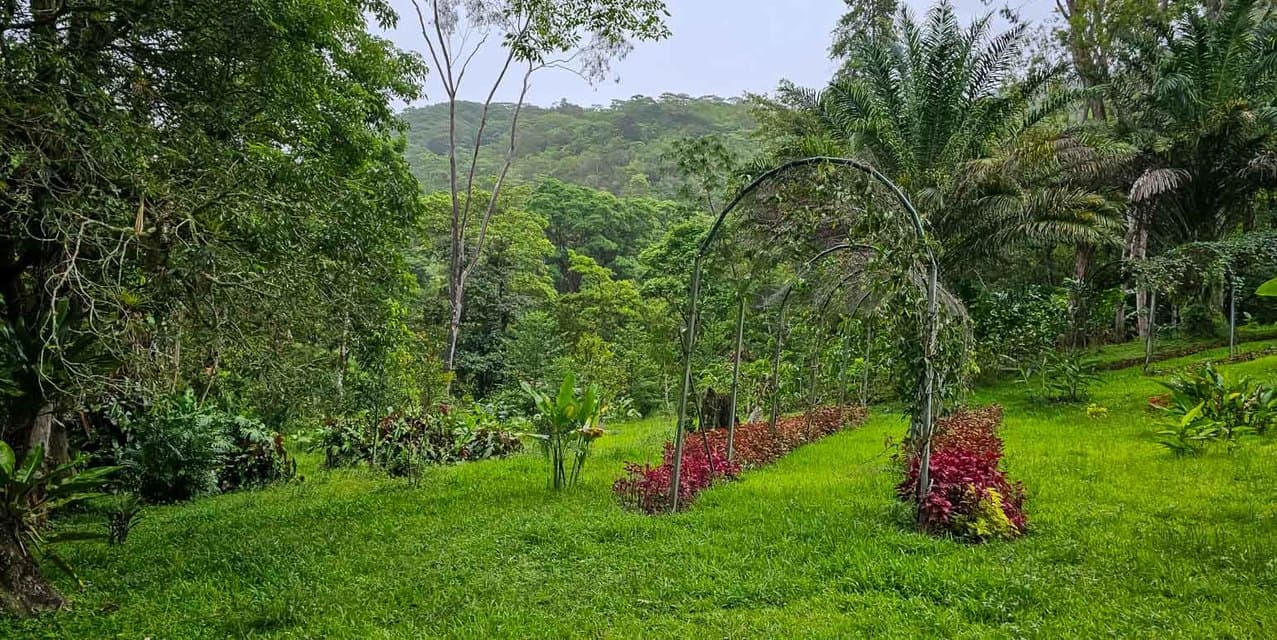 Finca Verde in Orosi, Cartago — photo