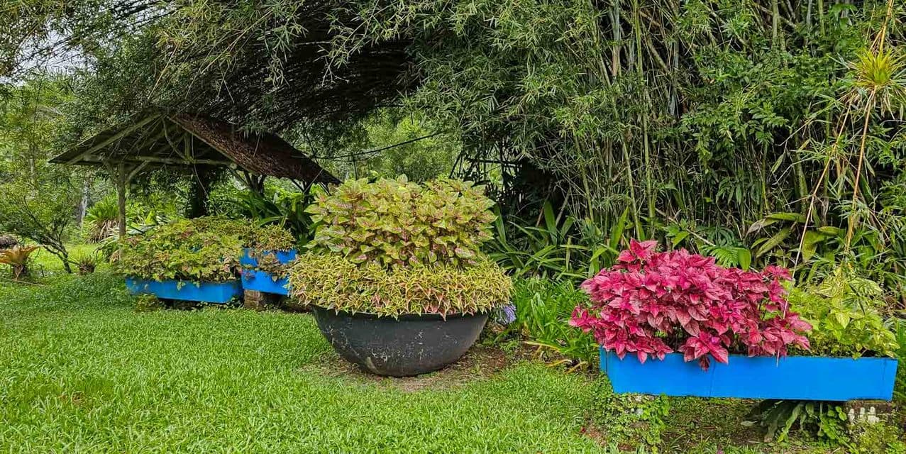 Finca Verde in Orosi, Cartago — photo