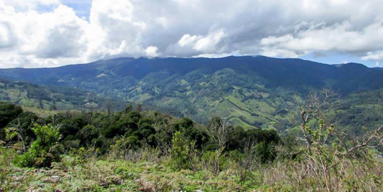 Finca Cumbres de Copey, Dota — photo