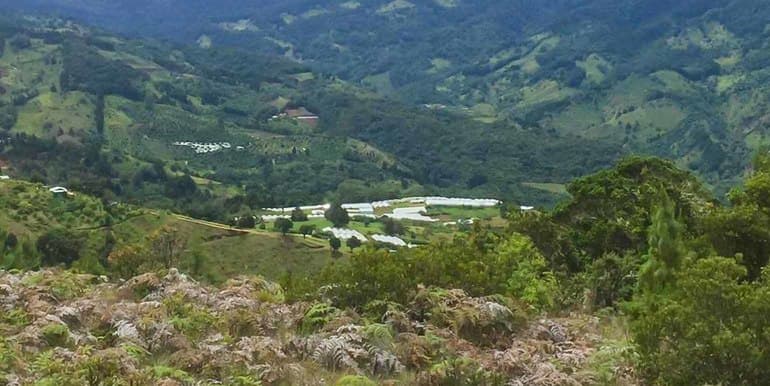 Finca Cumbres de Copey