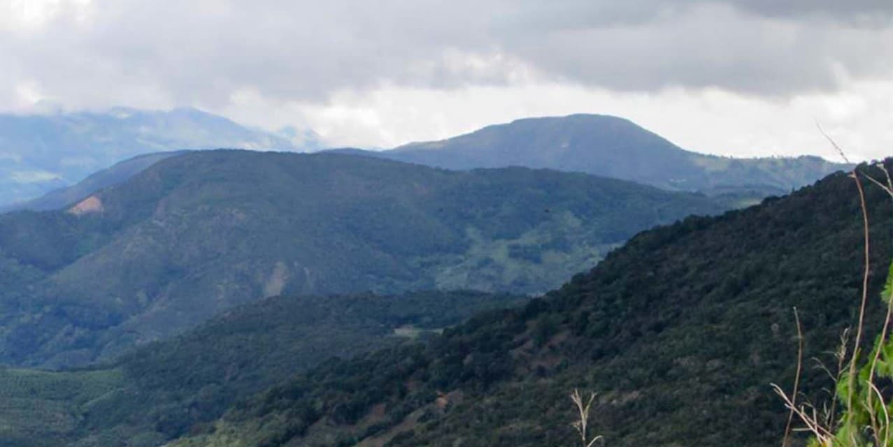 Finca Cumbres de Copey, Dota — photo