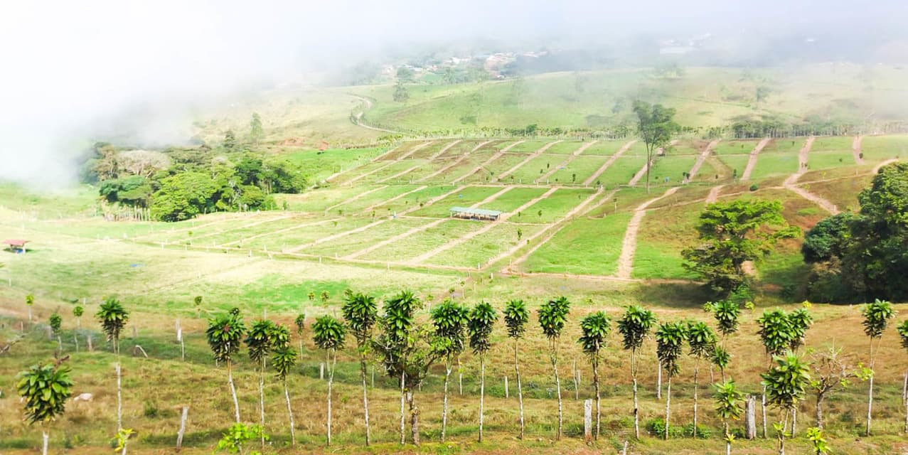 Finca Agroindustrial in Naranjo — photo