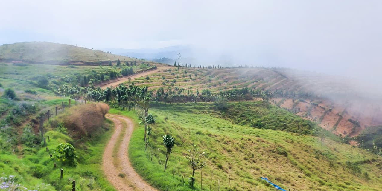 Finca Agroindustrial in Naranjo — photo
