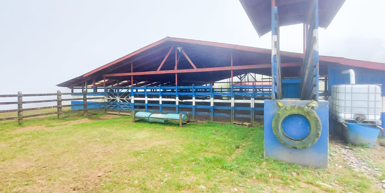 Finca Agroindustrial in Naranjo — photo