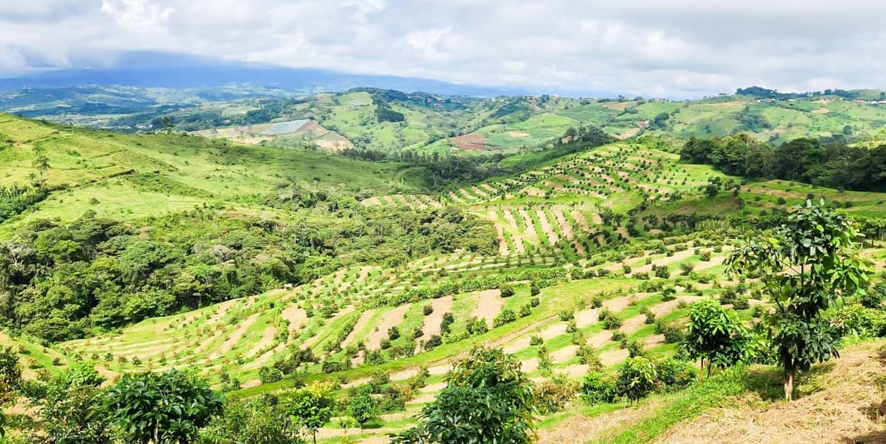 Finca Agroindustrial in Naranjo — photo