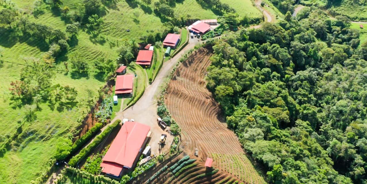 Finca Agroindustrial in Naranjo — photo