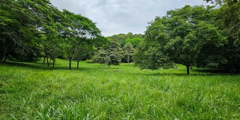 Los Olivos Cattle Farm in Limonal