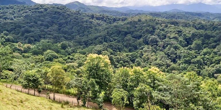 Finca Agropecuaria La Cangreja in Puriscal