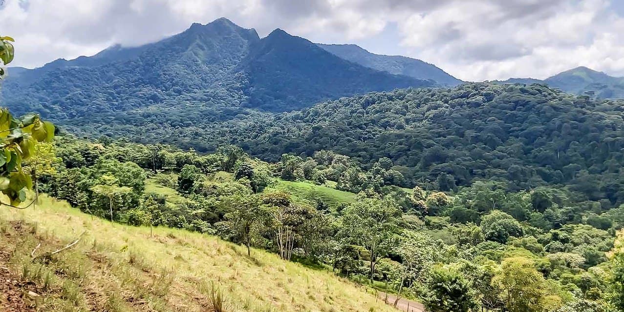 Finca Agropecuaria La Cangreja in Puriscal — photo
