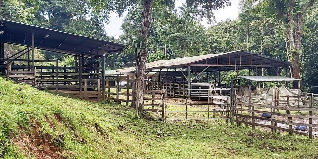Finca Agropecuaria La Cangreja in Puriscal — photo