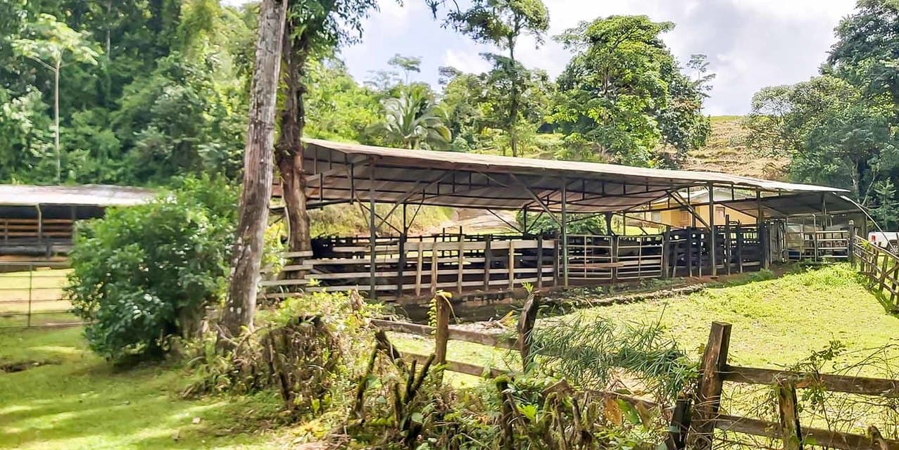 Finca Agropecuaria La Cangreja in Puriscal — photo