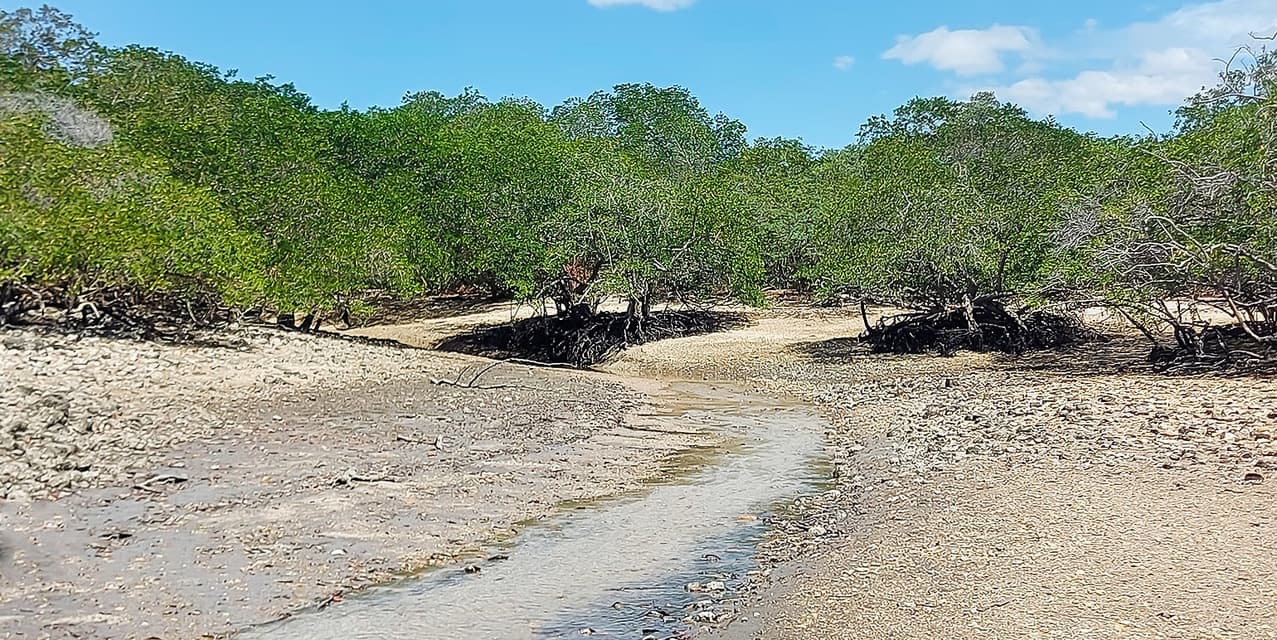 Punta Piedra Island in Abangares, Guanacaste — photo