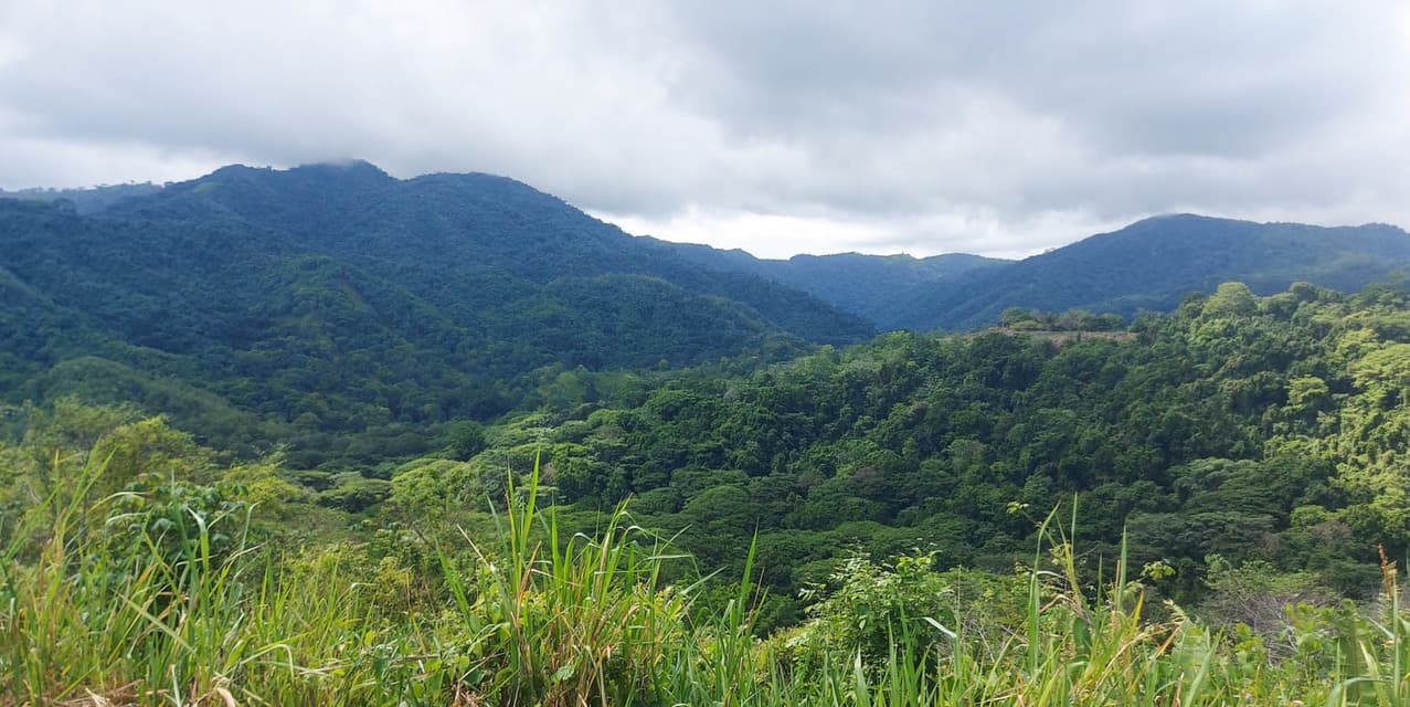 Finca Paraíso Mar y Selva en Garabito, Puntarenas — photo