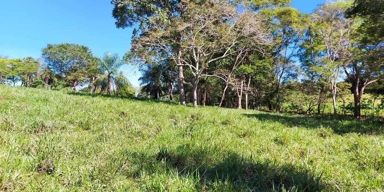 Finca Las Tres Marías in Orotina — photo