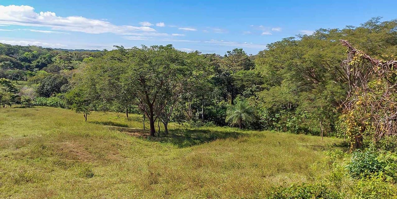 Finca Las Tres Marías in Orotina — photo