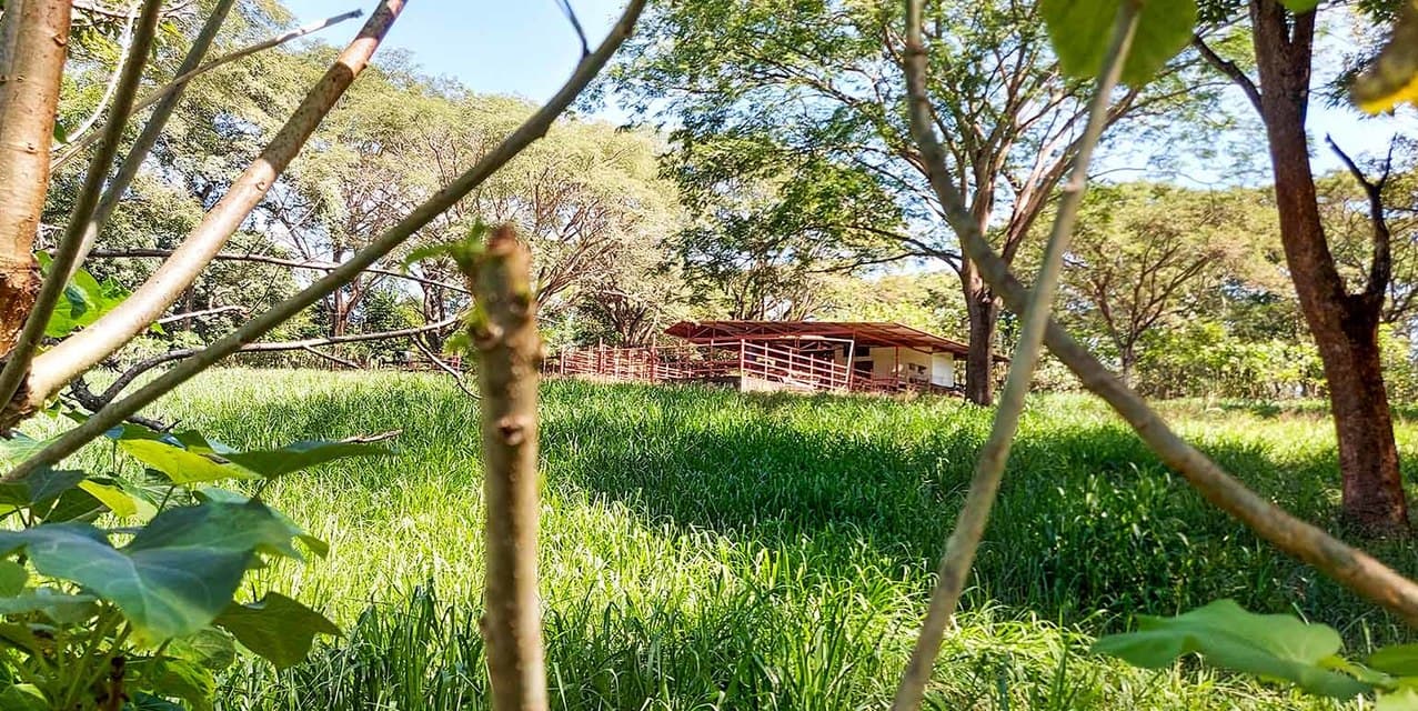 Finca Las Tres Marías in Orotina — photo
