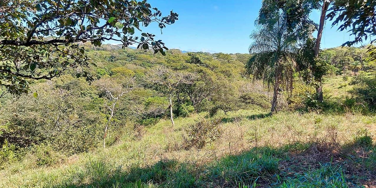 Finca Las Tres Marías in Orotina — photo