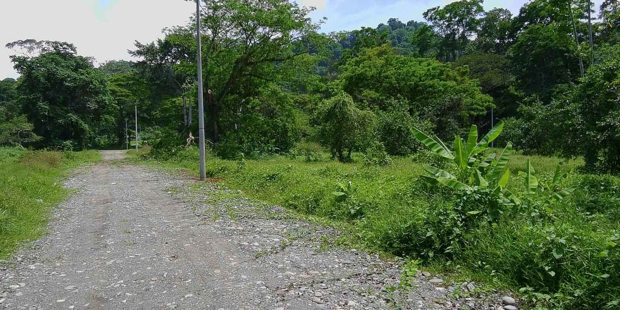 Carbone One Creekside Lots in Hone Creek — photo
