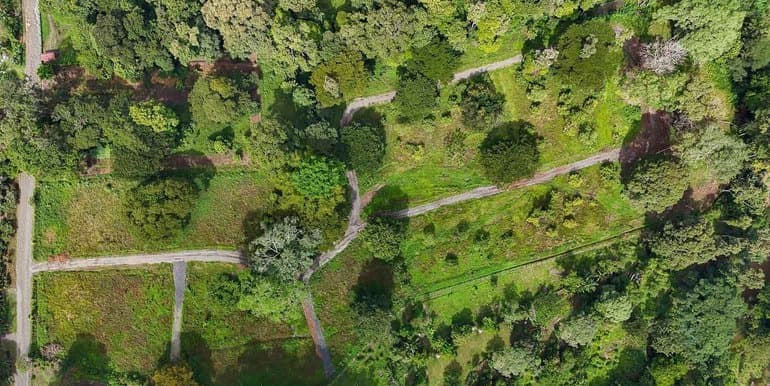 Carbone One Creekside Lots in Hone Creek