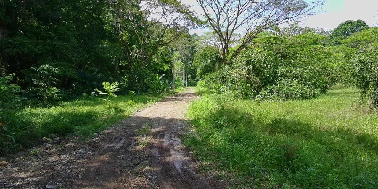 Carbone One Creekside Lots in Hone Creek — photo