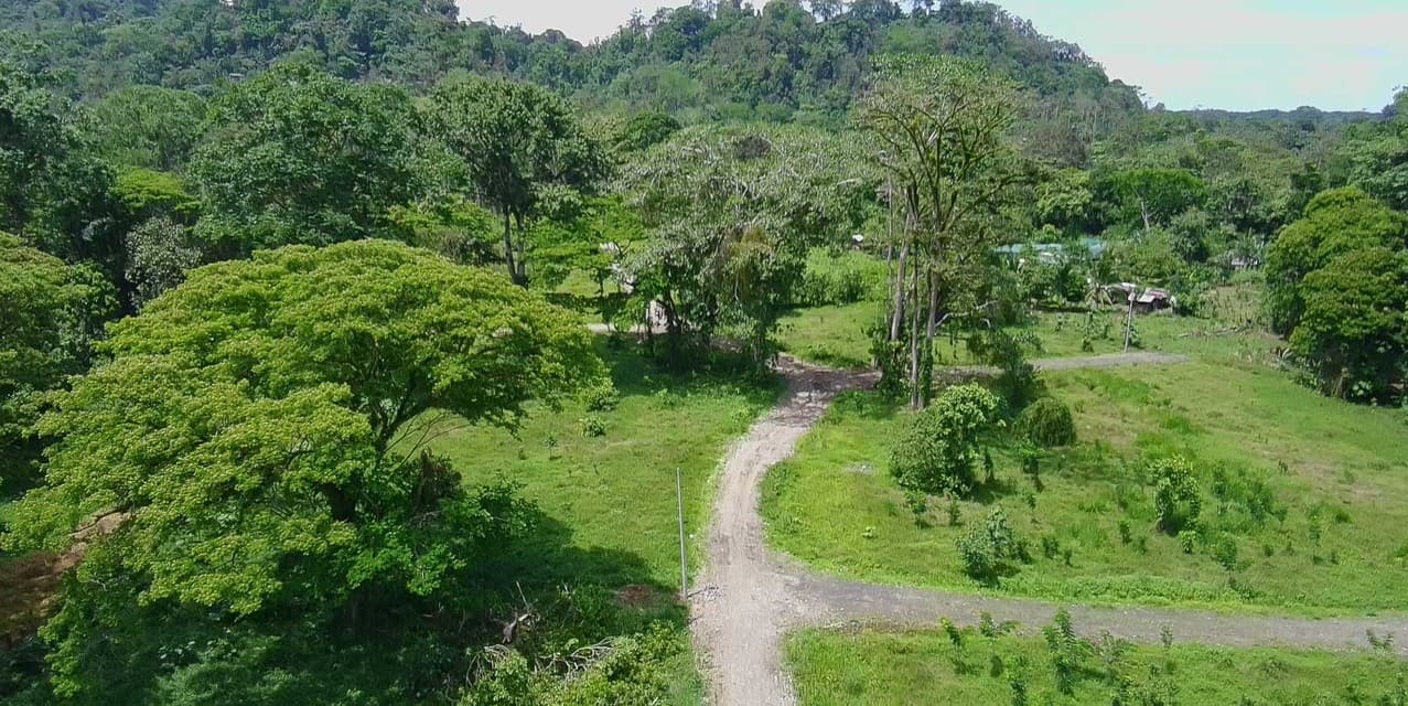 Carbone One Creekside Lots in Hone Creek — photo