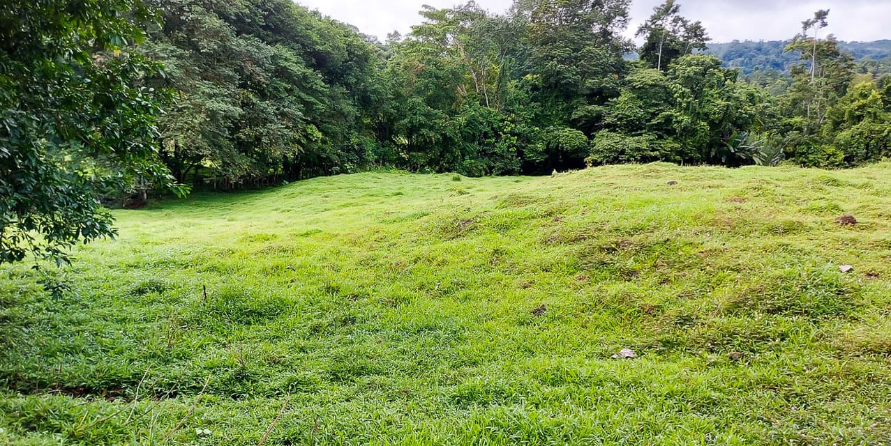 Los Altos Farm in San Miguel de Batán — photo