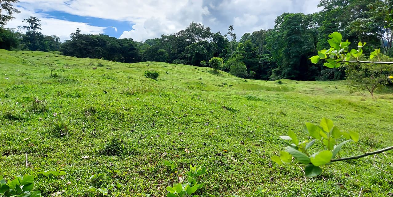 Los Altos Farm in San Miguel de Batán — photo
