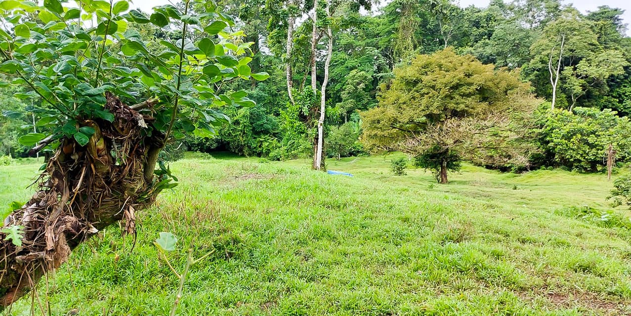Los Altos Farm in San Miguel de Batán — photo