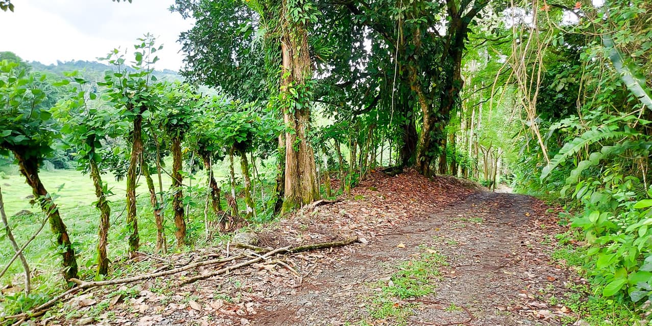 Los Altos Farm in San Miguel de Batán — photo