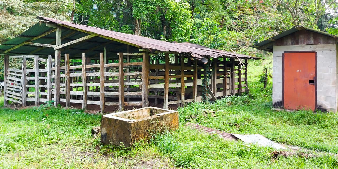 Los Altos Farm in San Miguel de Batán — photo