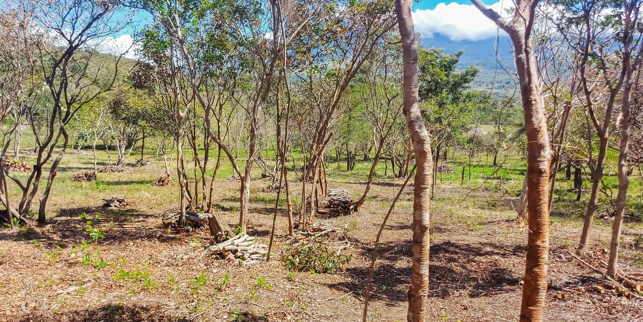 Finca Guayabo Eco-Agro Green in Bagaces — photo