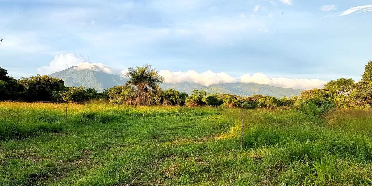 Finca Guayabo Eco-Agro Green in Bagaces — photo
