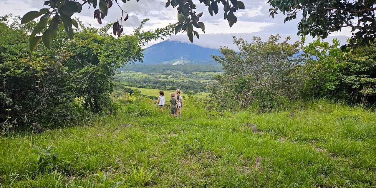 Finca Guayabo Eco-Agro Green in Bagaces — photo