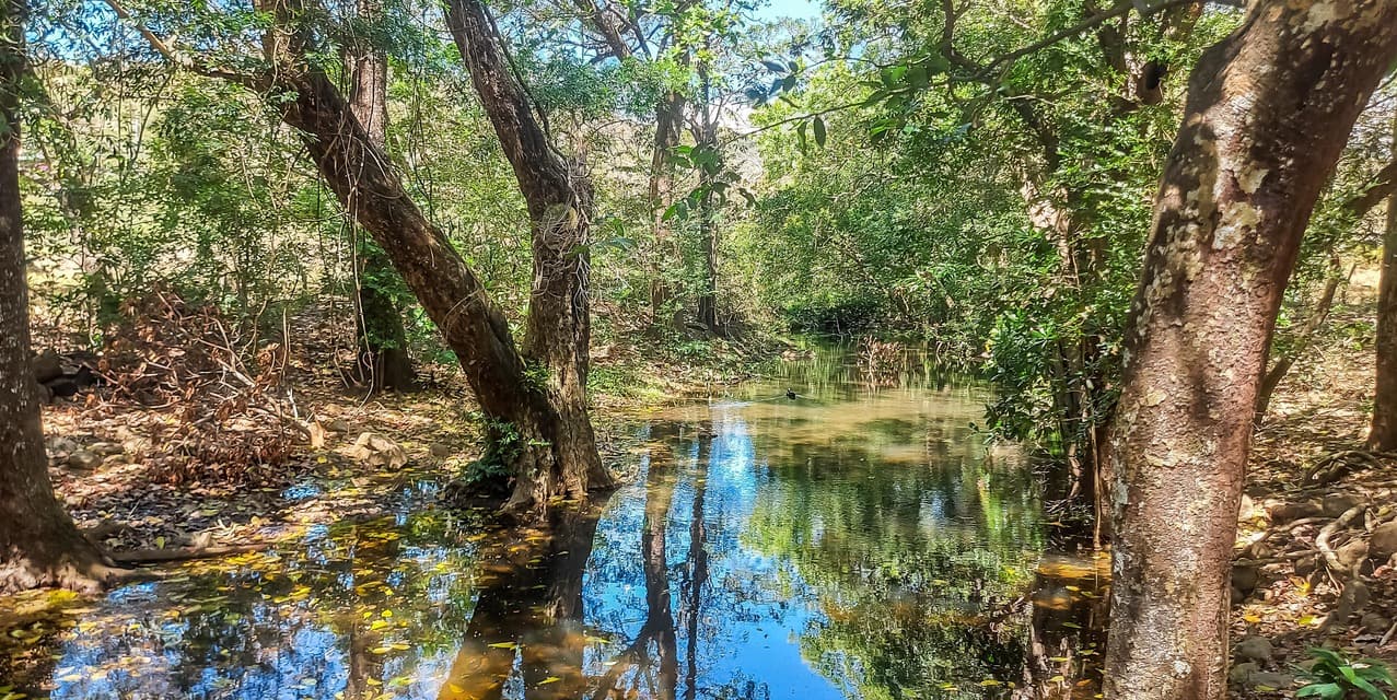 Finca Guayabo Eco-Agro Green in Bagaces — photo