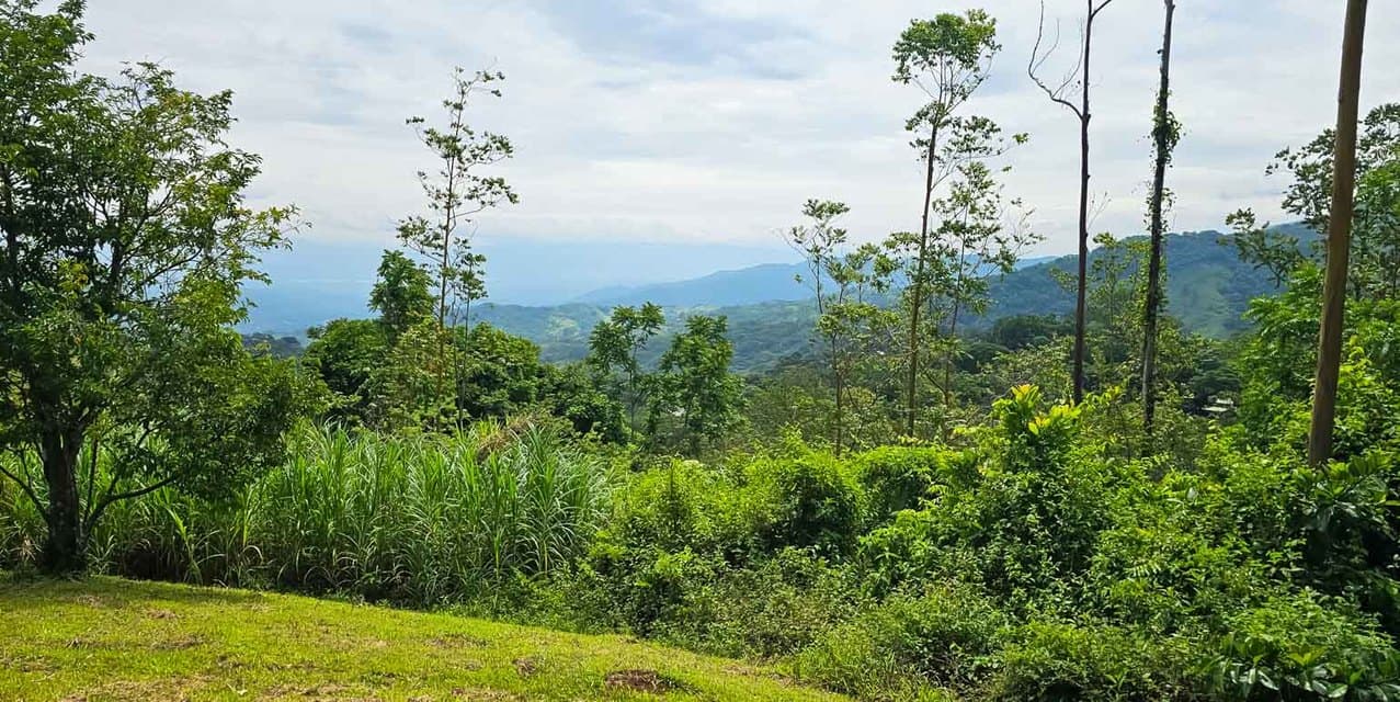 Finca & Bosque Arcoiris in Puriscal — photo