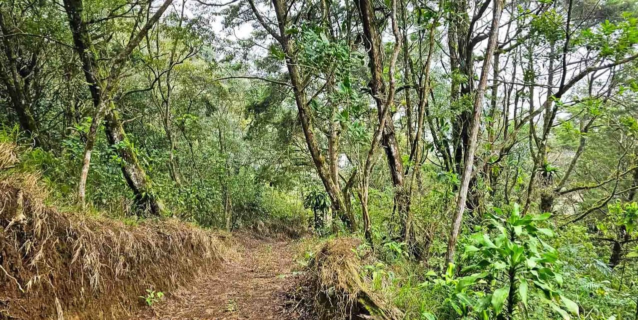 Finca de Ecoturismo en San Ramón — photo